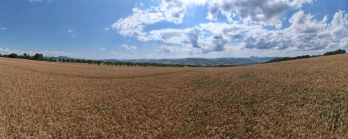 DJI_3588.JPG